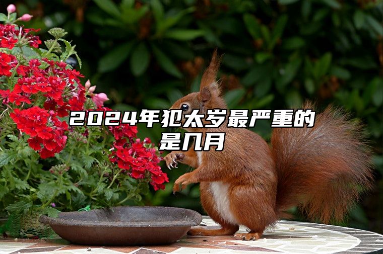 2024年犯太岁最严重的是几月 2024年犯太岁列表