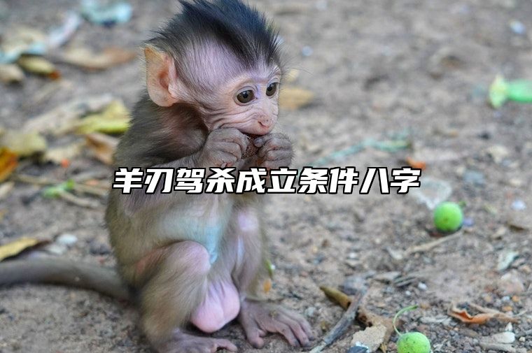 羊刃驾杀成立条件八字 羊刃驾杀从事什么职业