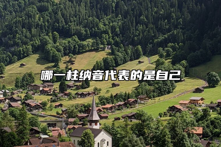 哪一柱纳音代表的是自己 纳音五行对命主的影响