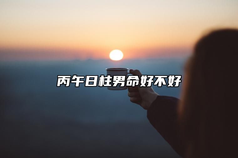 丙午日柱男命好不好？