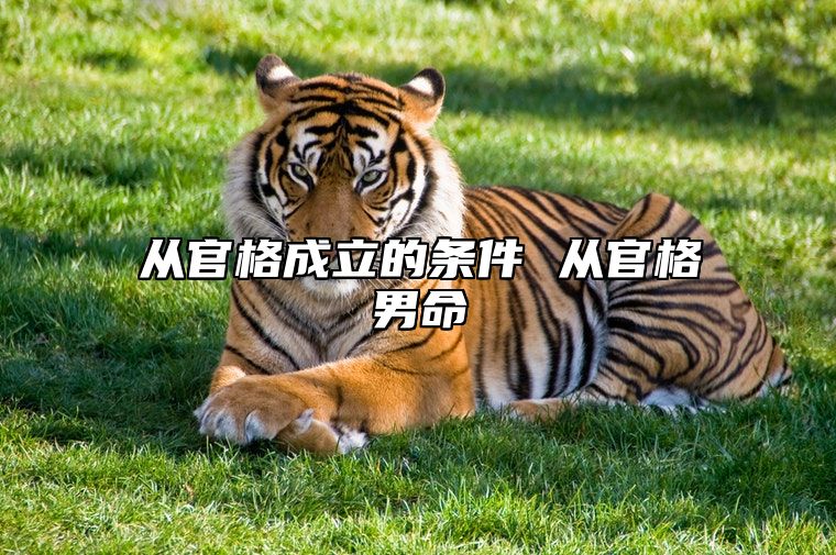 从官格成立的条件 从官格男命
