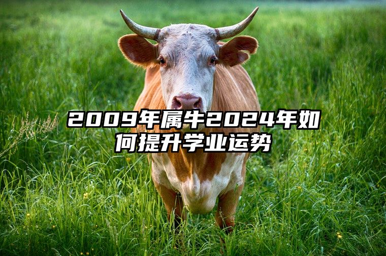 2009年属牛2024年如何提升学业运势