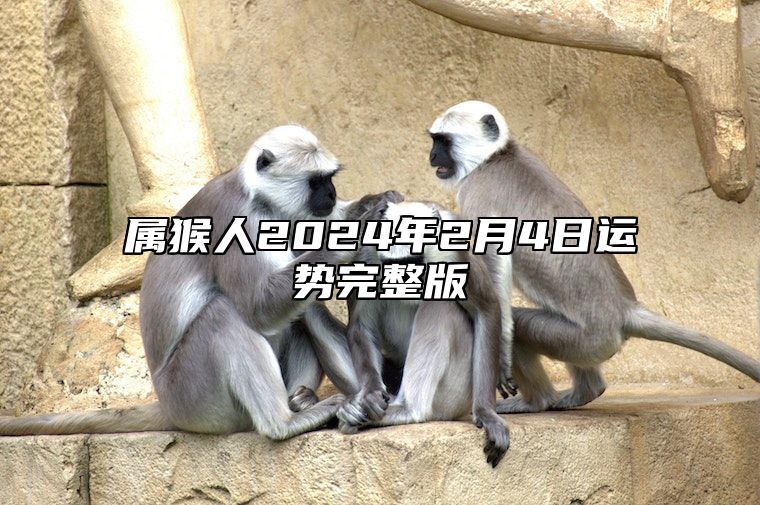 属猴人2024年2月4日运势完整版