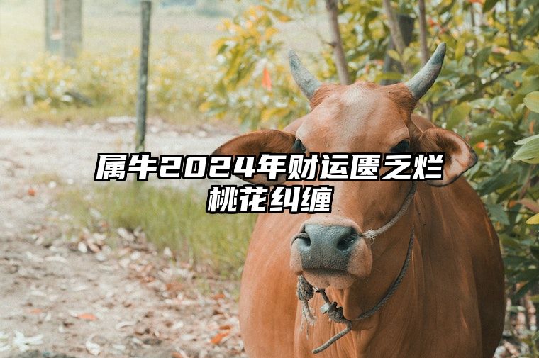 属牛2024年财运匮乏烂桃花纠缠