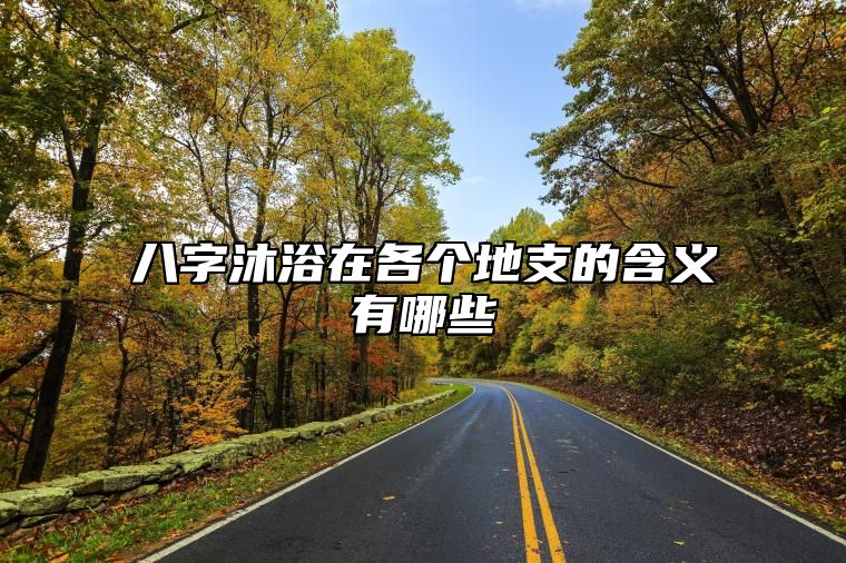 八字沐浴在各个地支的含义有哪些？