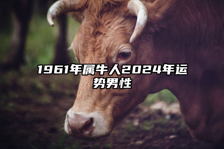 1961年属牛人2024年运势男性 61年属牛男2024年每月运程怎么样