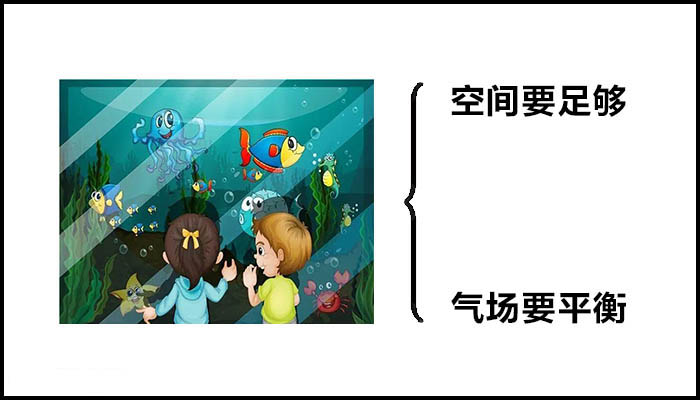 家里是不是不能放大鱼缸？