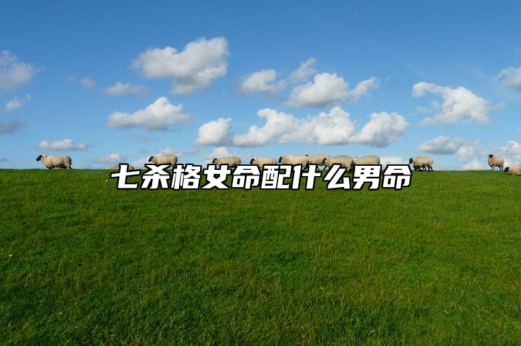 七杀格女命配什么男命？