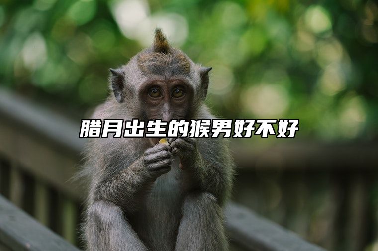 腊月出生的猴男好不好 男命犯铁扫帚破解方法