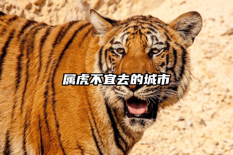 属虎不宜去的城市 属虎人适合去厂吗