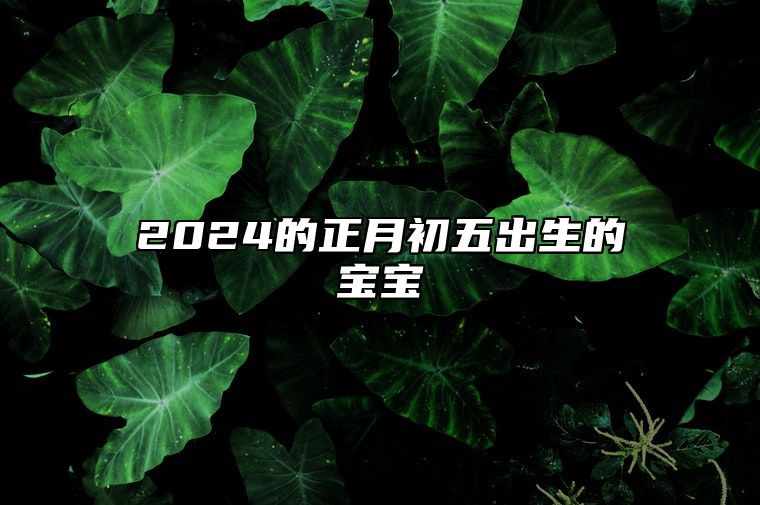 2024的正月初五出生的宝宝 纳音五行是大驿土