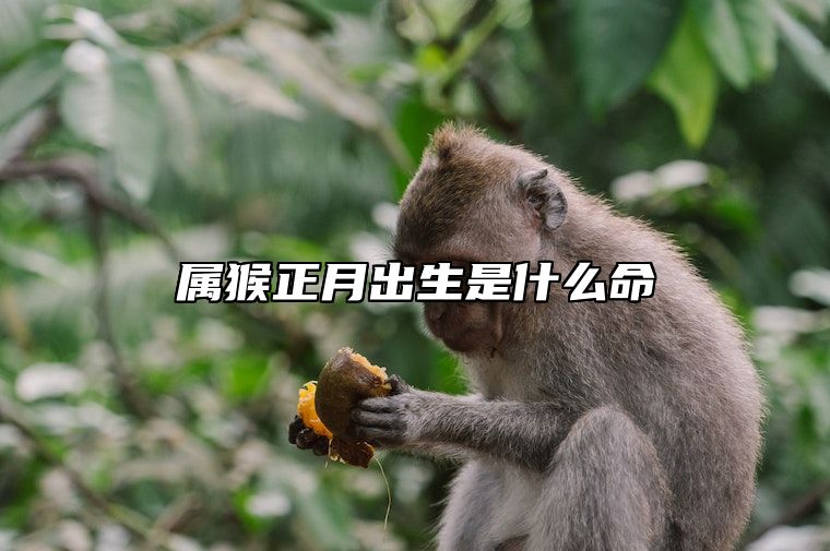 属猴正月出生是什么命 生肖猴出生在正月好不好