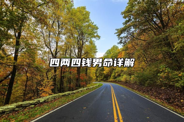 四两四钱男命详解 四两四钱男命的真正版本