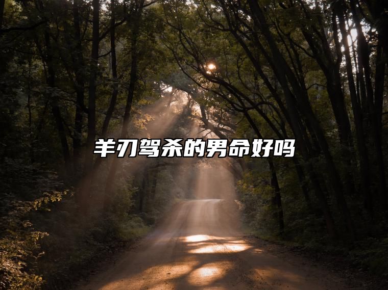 羊刃驾杀的男命好吗？