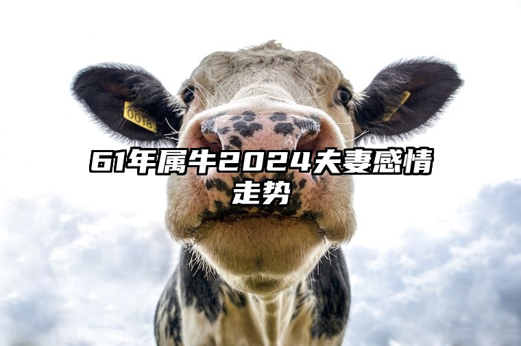61年属牛2024夫妻感情走势