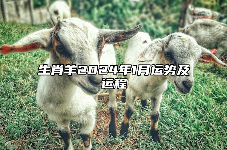 生肖羊2024年1月运势及运程