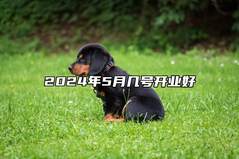 2024年5月几号开业好 适合开业的黄道吉日