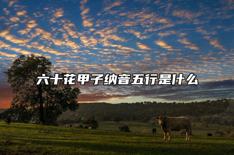 六十花甲子纳音五行是什么？