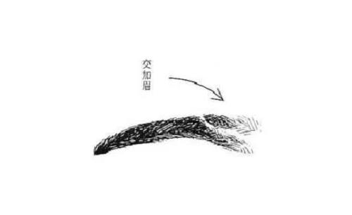 6种不吉利男人眉毛看相图解