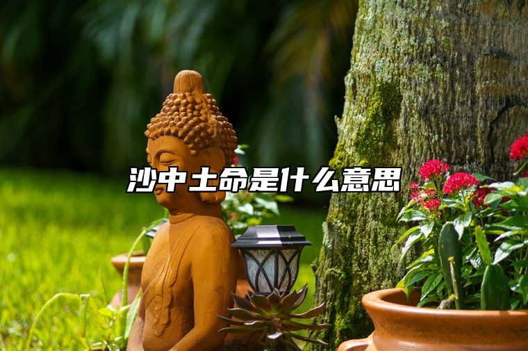 沙中土命是什么意思 沙中土者浪回所积波渚而成