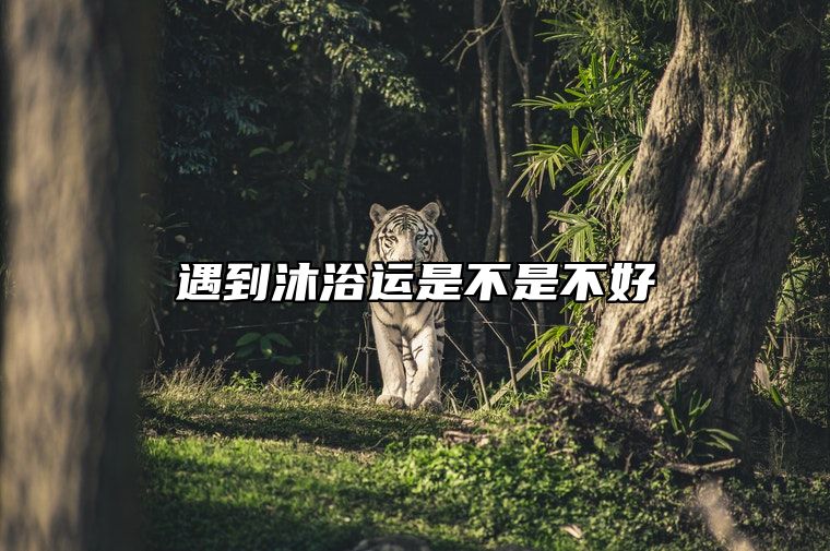 遇到沐浴运是不是不好？