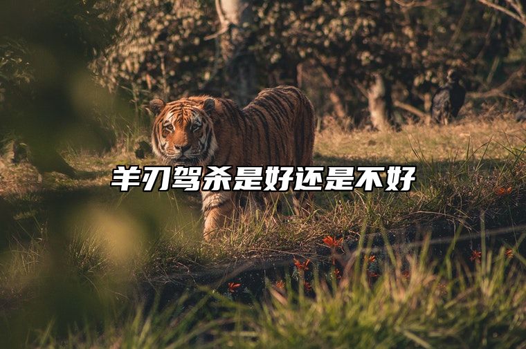 羊刃驾杀是好还是不好 羊刃驾杀格局行运喜忌