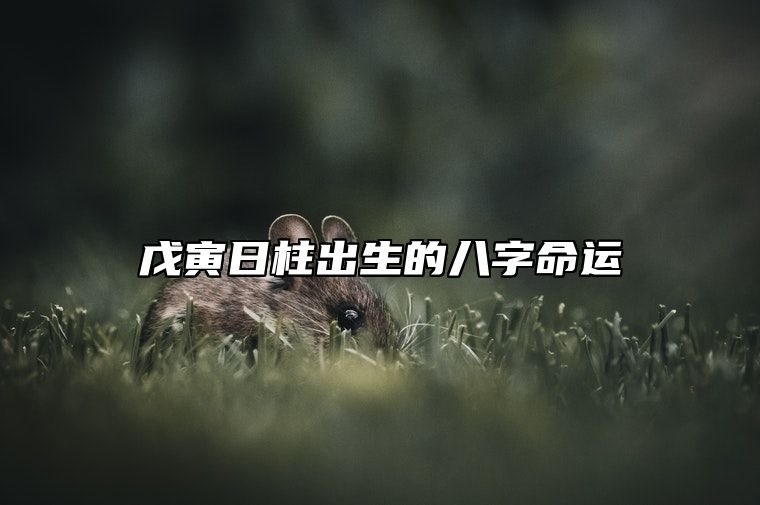 戊寅日柱出生的八字命运