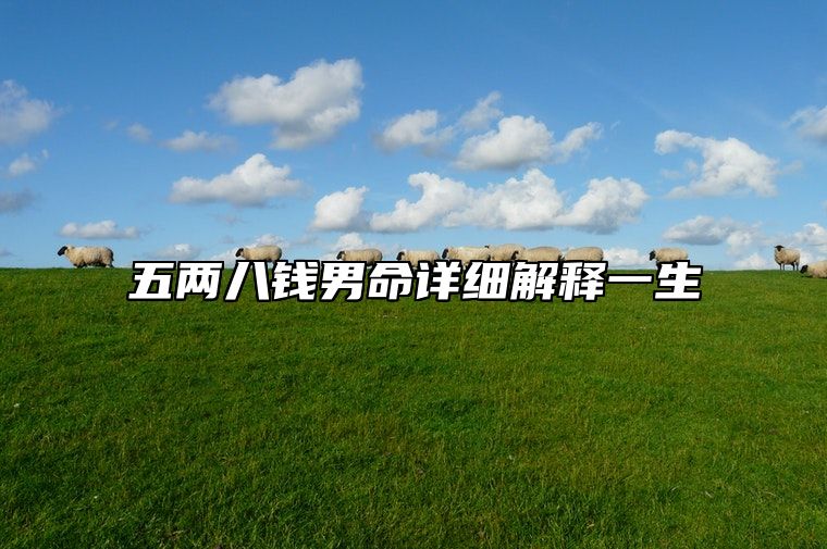 五两八钱男命详细解释一生 五两八钱男命详解