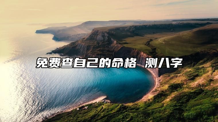免费查自己的命格 测八字