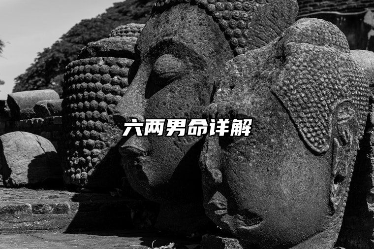 六两男命详解 六两男命的真正版本