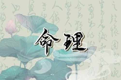 四两九钱女命太惨了