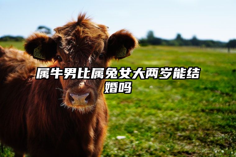 属牛男比属兔女大两岁能结婚吗