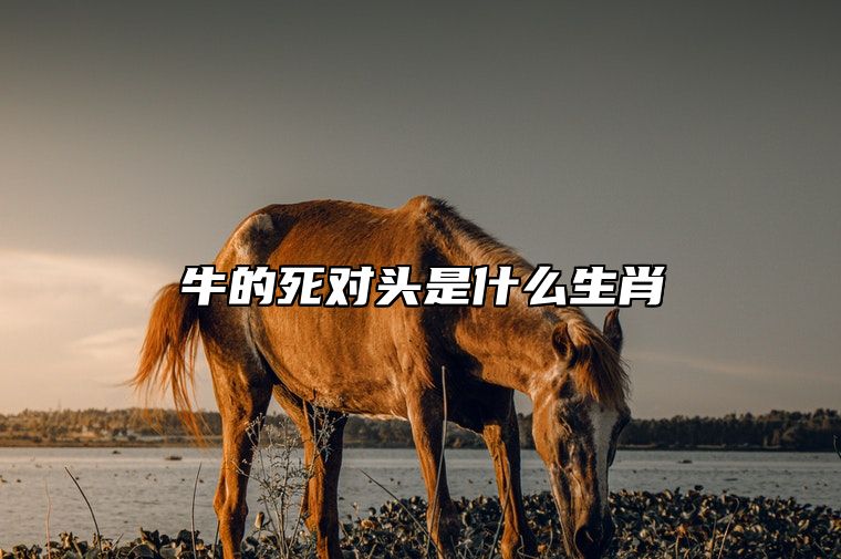 牛的死对头是什么生肖 牛死对头是什么生肖动物