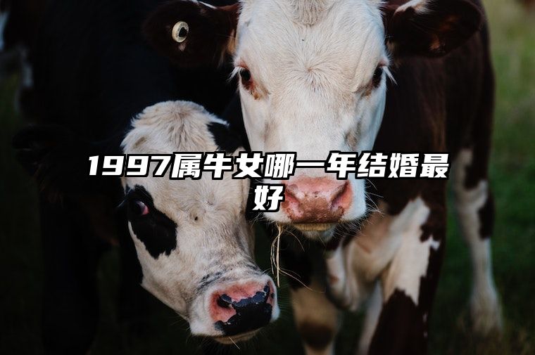 1997属牛女哪一年结婚最好 97属牛男正缘在哪一年