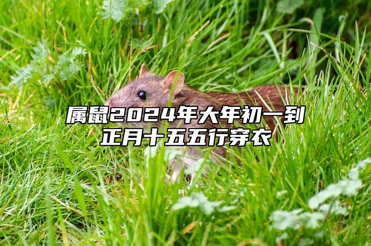 属鼠2024年大年初一到正月十五五行穿衣
