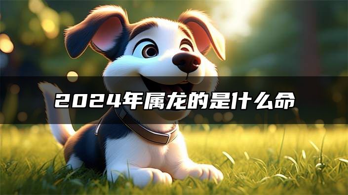2024年属龙的是什么命 2024属龙的命运怎么样