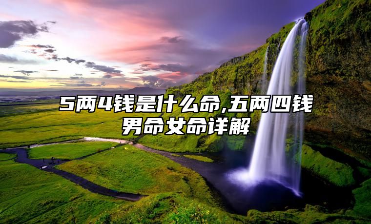 5两4钱是什么命,五两四钱男命女命详解