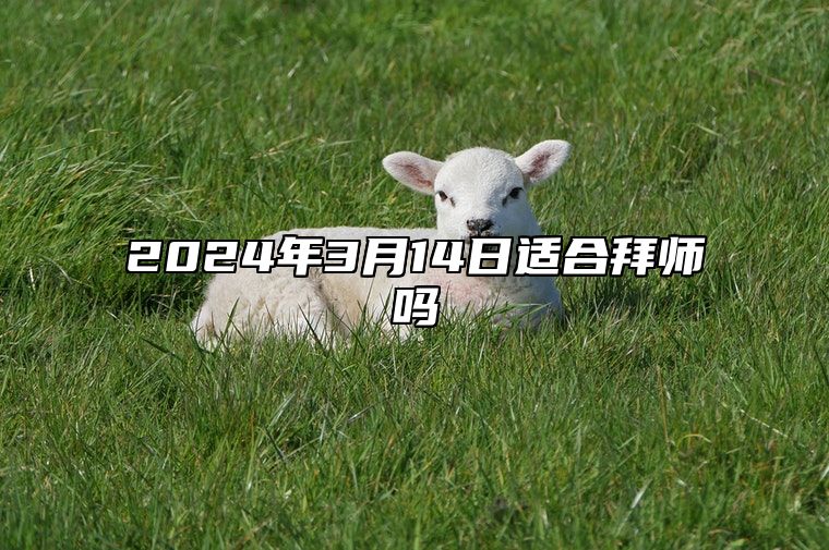 2024年3月14日适合拜师吗？适合行拜师礼吗