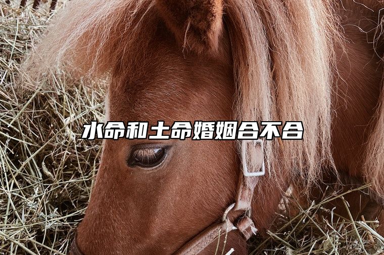 水命和土命婚姻合不合 为什么土克水会生财