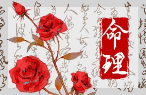 乙酉年柱男命