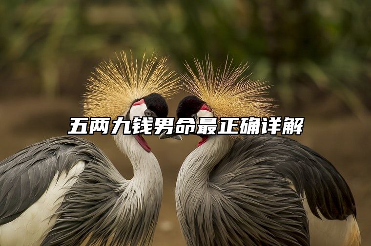 五两九钱男命最正确详解 五两九钱男命一生详细解释