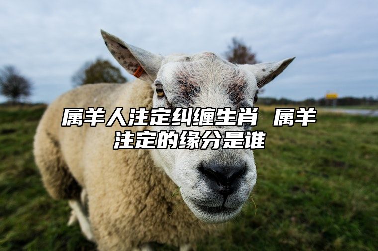 属羊人注定纠缠生肖 属羊注定的缘分是谁 属羊的这一生与啥有缘