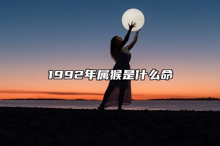 1992年属猴是什么命 1990年属蛇是什么命