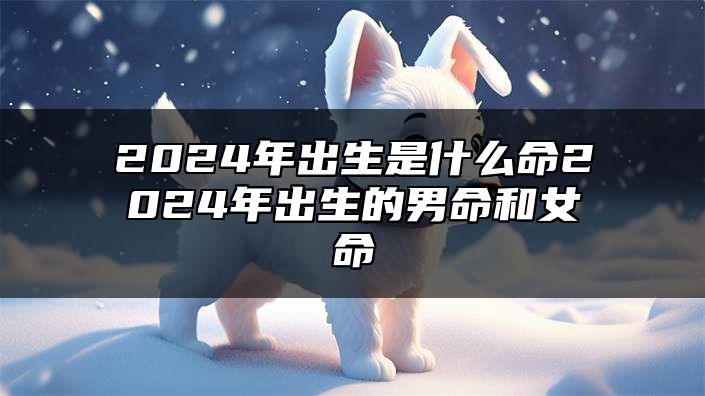 2024年出生是什么命？2024年出生的男命和女命