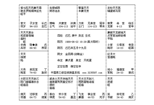 紫薇排盘怎么解读图解
