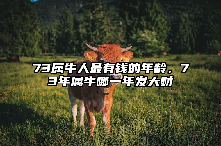 73属牛人最有钱的年龄，73年属牛哪一年发大财 73年属牛的哪年运气最好