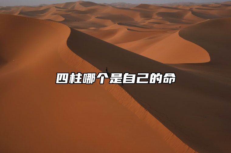 四柱哪个是自己的命 八字四柱怎么看
