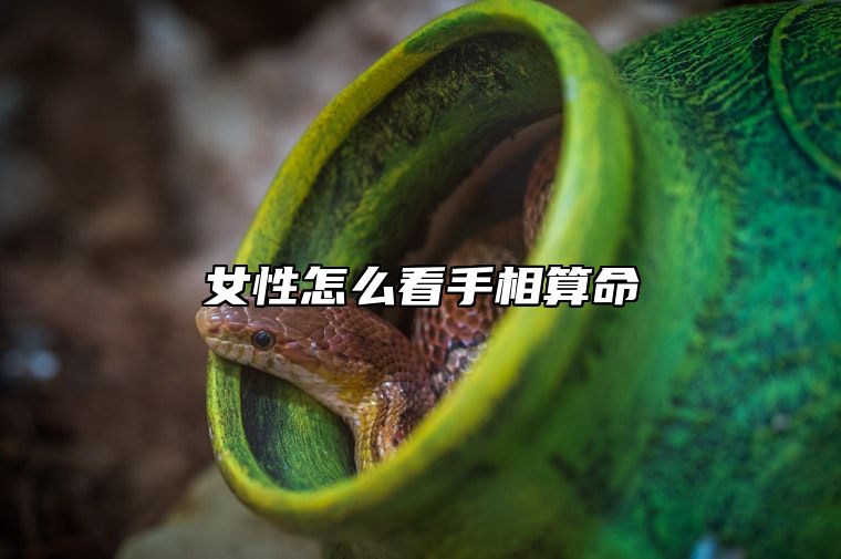 女性怎么看手相算命 女人手相算命图解