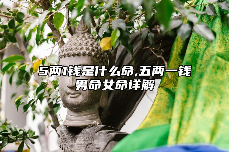 5两1钱是什么命,五两一钱男命女命详解