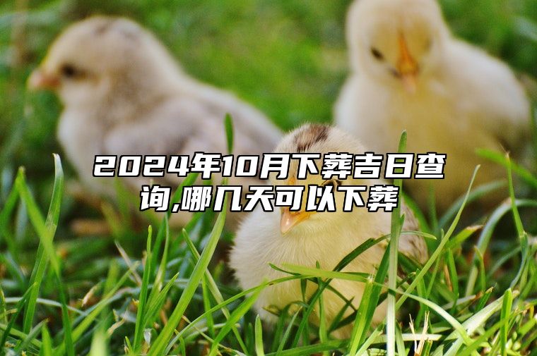 2024年10月下葬吉日查询,哪几天可以下葬 今日下葬黄道吉日查询